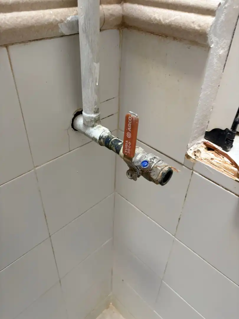 Bany de Casa o xalet en venda en Catarroja amb Terrassa, Moblat i Forn