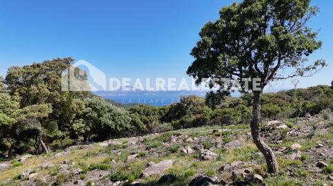 Foto 3 de Residencial en venda a  Cuarton el, El Cuartón - El Bujeo, Cádiz