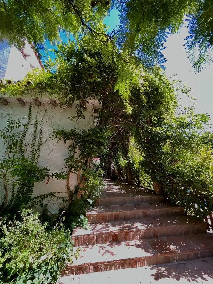 Haus mit Pool zum Verkauf in LEONI BENABÚ, imagen 13