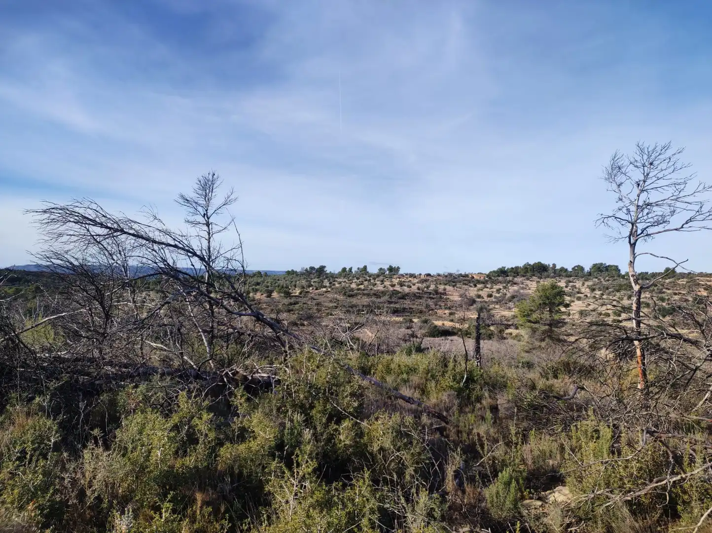 Residencial en venda en Llardecans