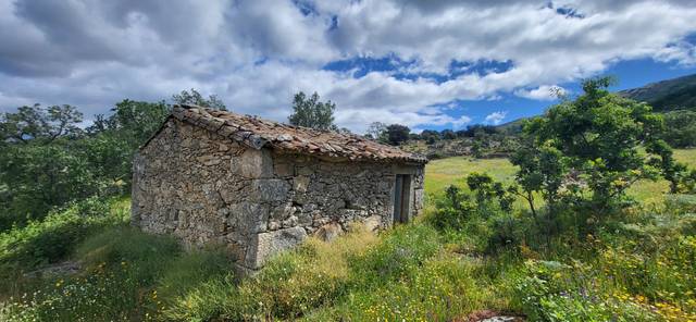 Terreno en Venta en Carretera Cabezabellosa en Villar de Plasencia