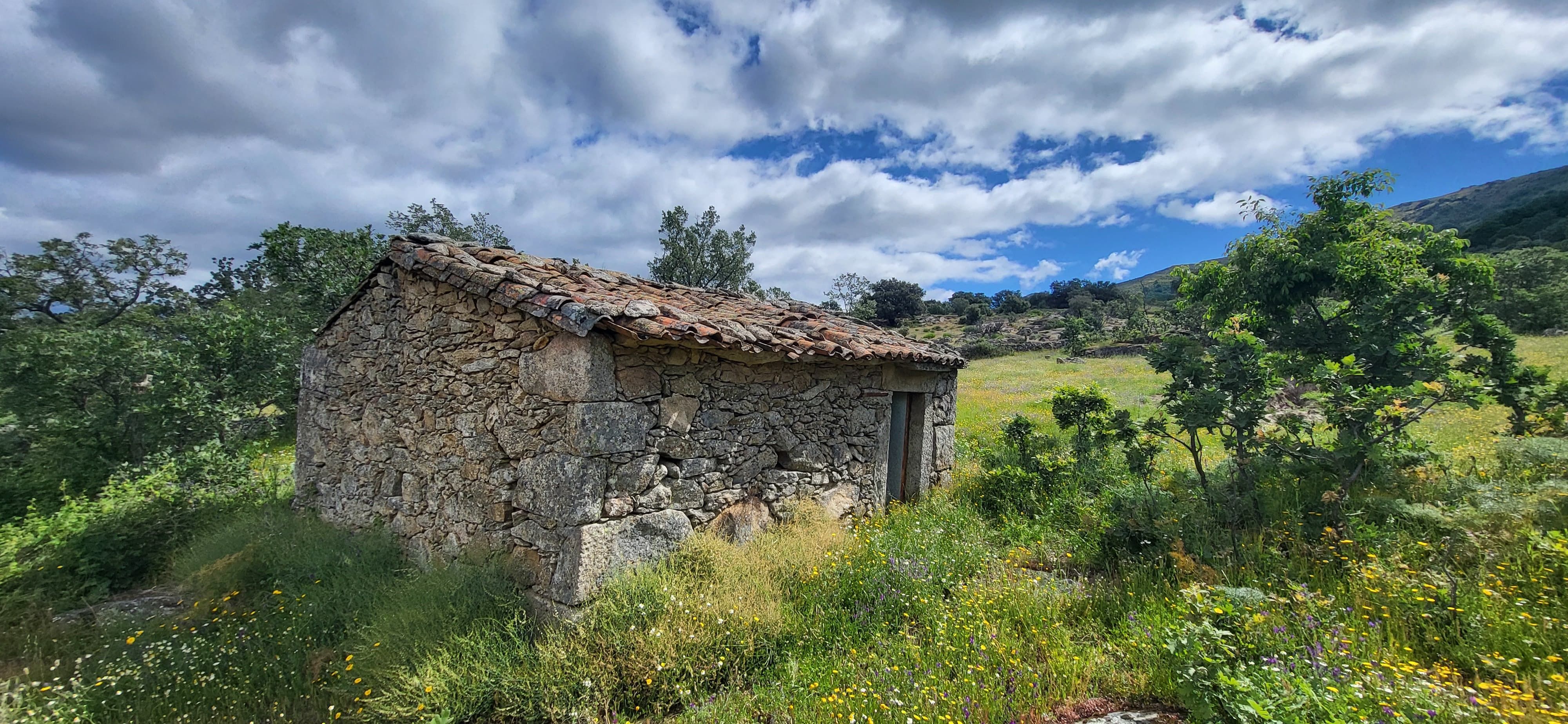 Land for sale in Villar de Plasencia