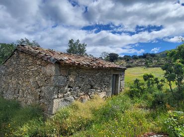 Terreno rústico en venta en Carretera Cabezabellosa