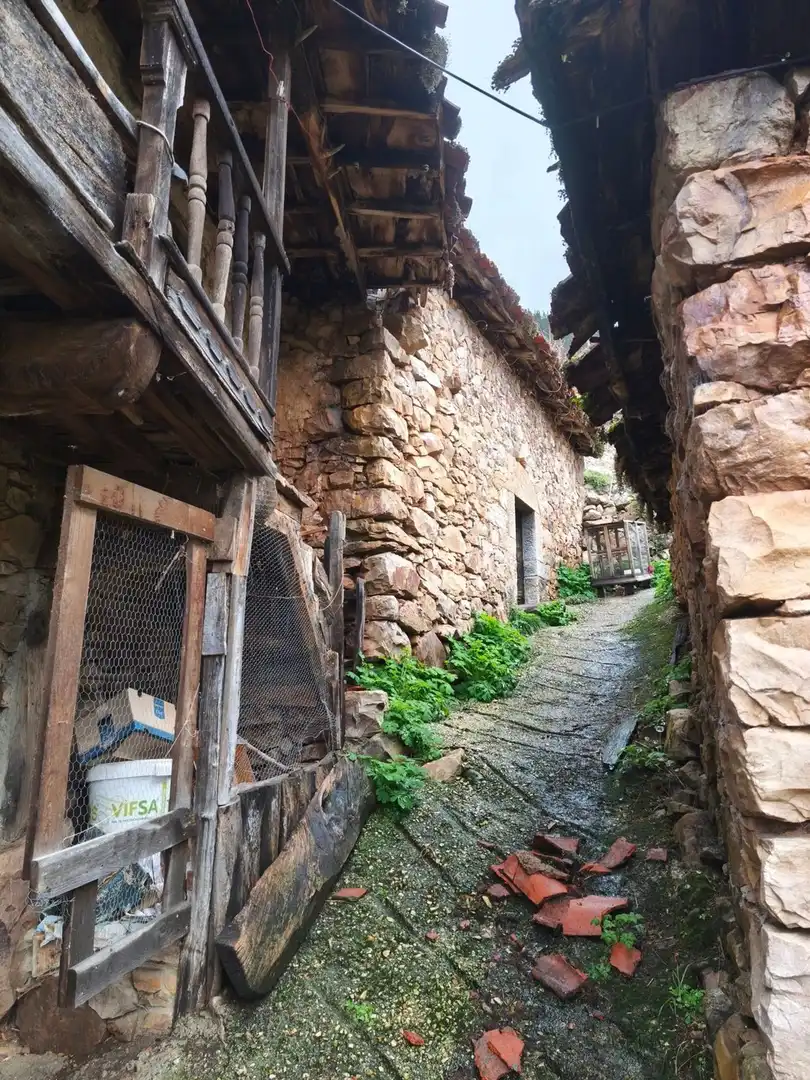 Vista exterior de Casa o chalet en venta en Proaza con Piscina