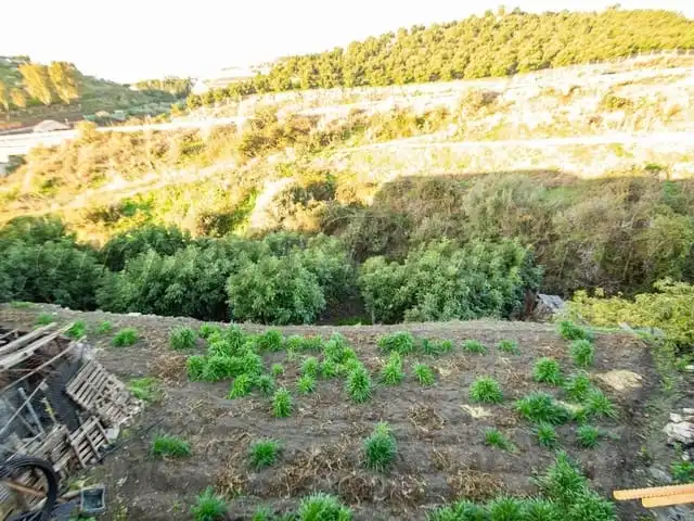 Terreni e lotti in vendita a Torrox Pueblo, imagen 5