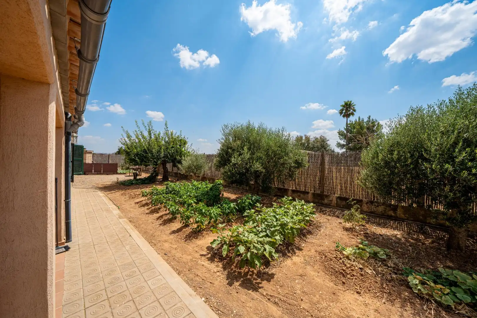 Terrassa de Finca rústica en venda en Algaida amb Jardí privat, Terrassa i Alarma