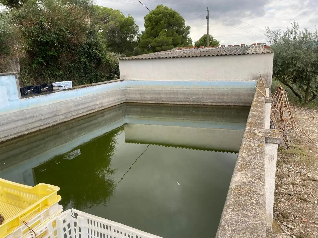 Piscina de Residencial en venta en Terrassa