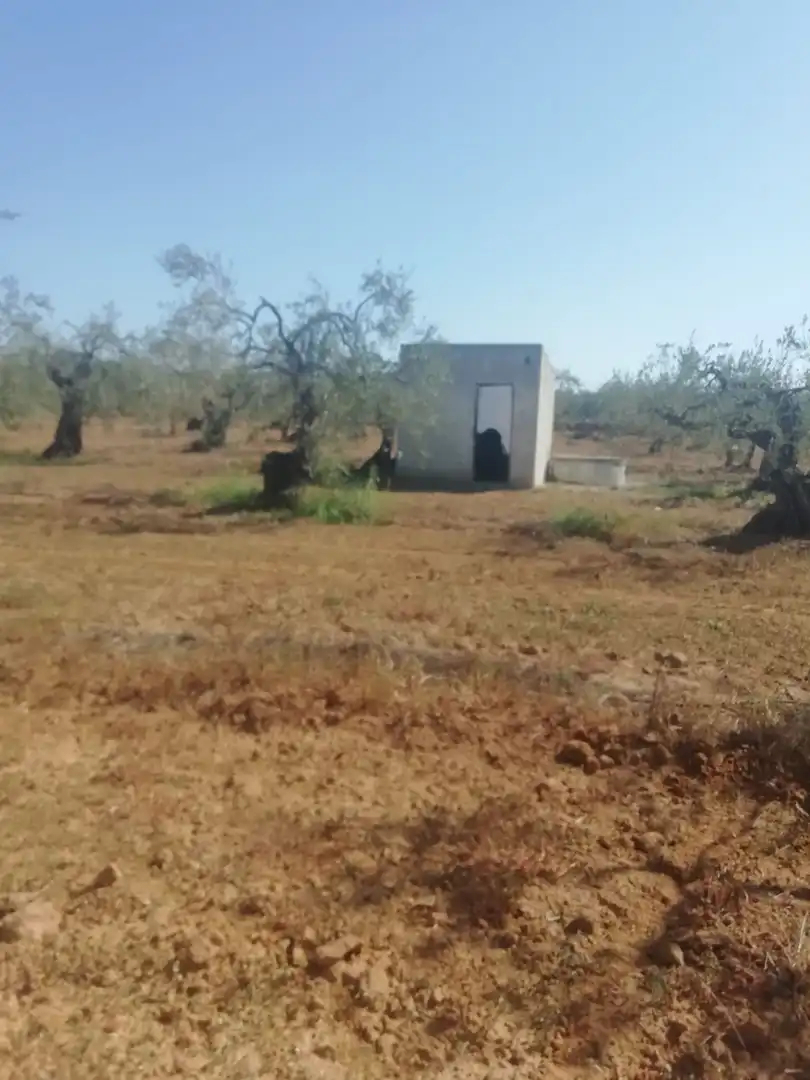Casa rústica en venda a Sanlúcar la Mayor, imagen 14