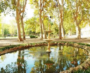 Jardí de Pis en venda en Cornellà de Llobregat amb Terrassa, Balcó i Internet