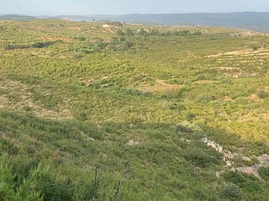 Rural land for sale in Ptda Charchanet, imagen 6