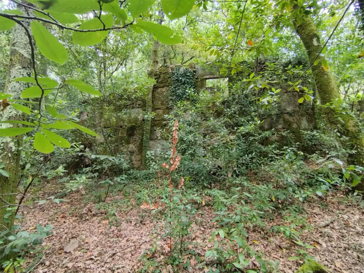 Casa o xalet en venda en Mos