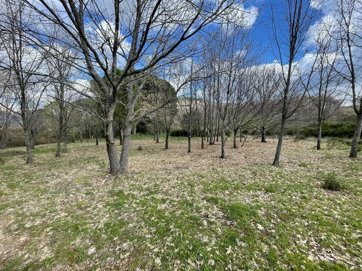 Casa o chalet en venta en Jaraíz de la Vera con Aire acondicionado, Calefacción y Jardín privado