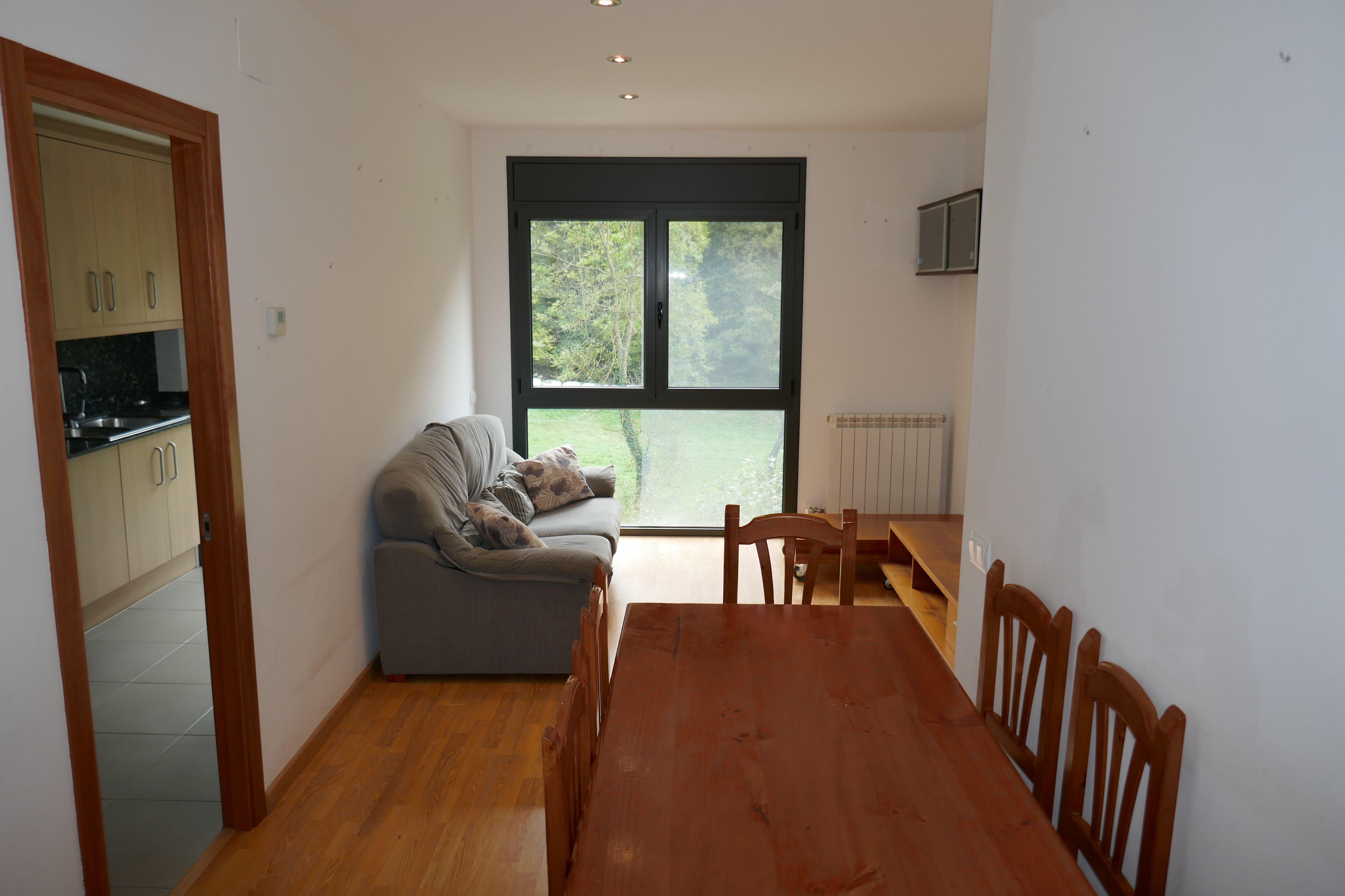 Sala de estar de Piso en venta en Ribes de Freser con Calefacción