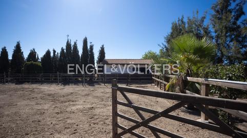 Foto 5 de Finca rústica en venda a Llerena, Badajoz