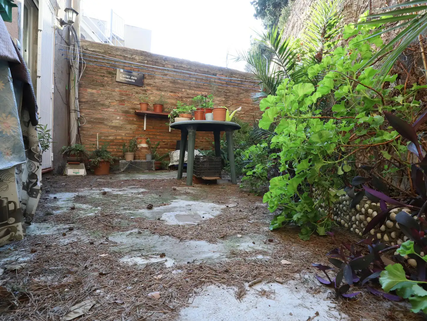 Jardín de Casa o chalet en venta en Esplugues de Llobregat con Calefacción, Parquet y Terraza