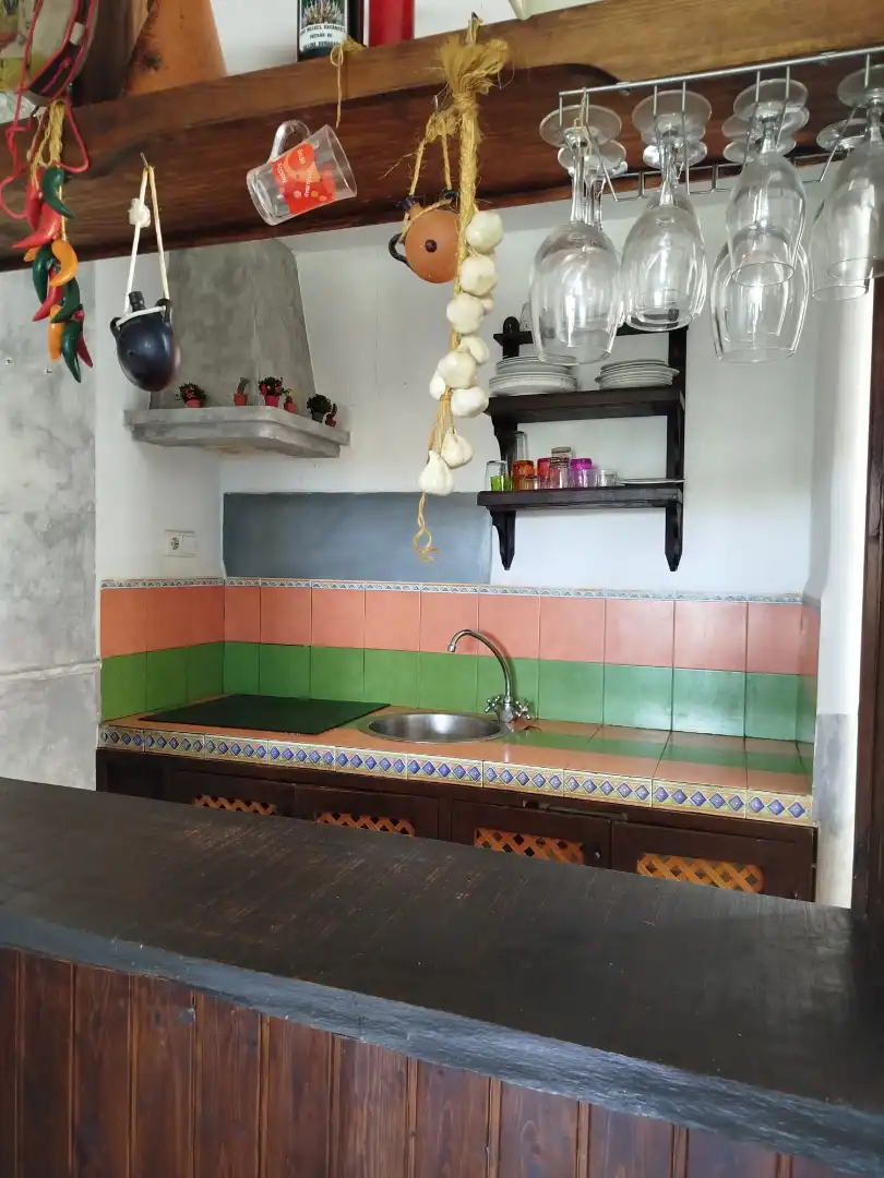 Kitchen of Apartments for sale in Alpujarra de la Sierra  with Furnished