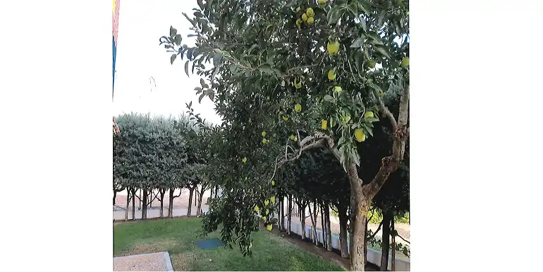Terreni e lotti in vendita a Marugán, imagen 8