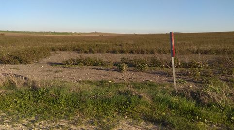 FINCA DE 3,6 HECT., ZONA DE MIRALAMAR HACIA CHICLANA.
