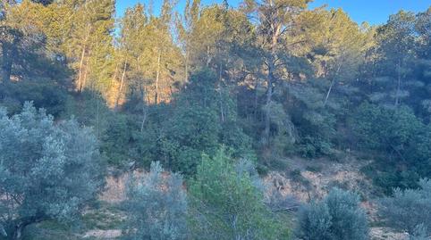 Foto 3 von Country house zum Verkauf in Partida Berro, Altura, Castellón