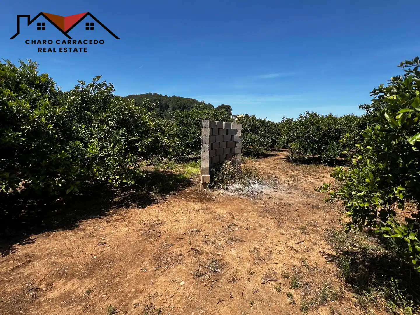Terreno rústico en venta en Camí de la Murta-Ombria, imagen 6