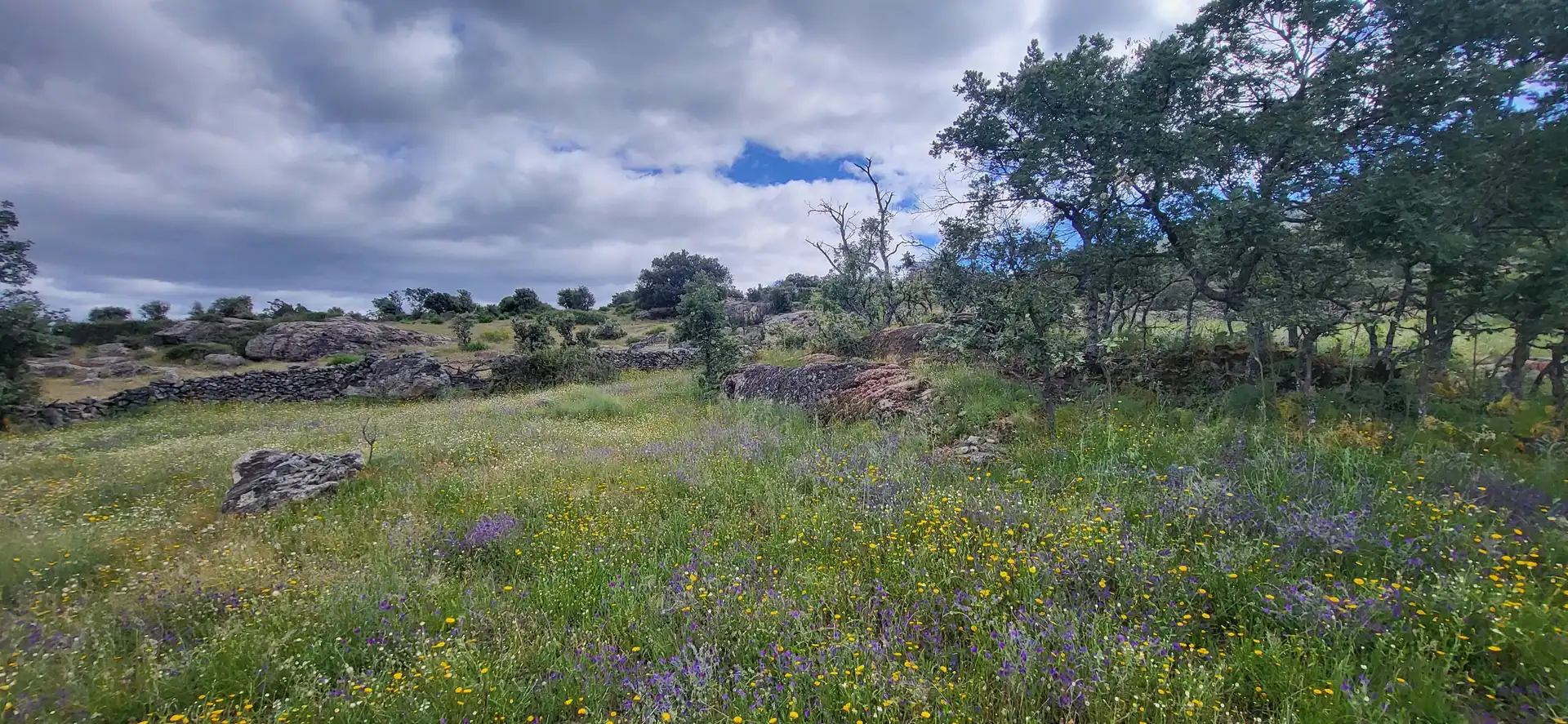Grundstücke zum Verkauf in Villar de Plasencia