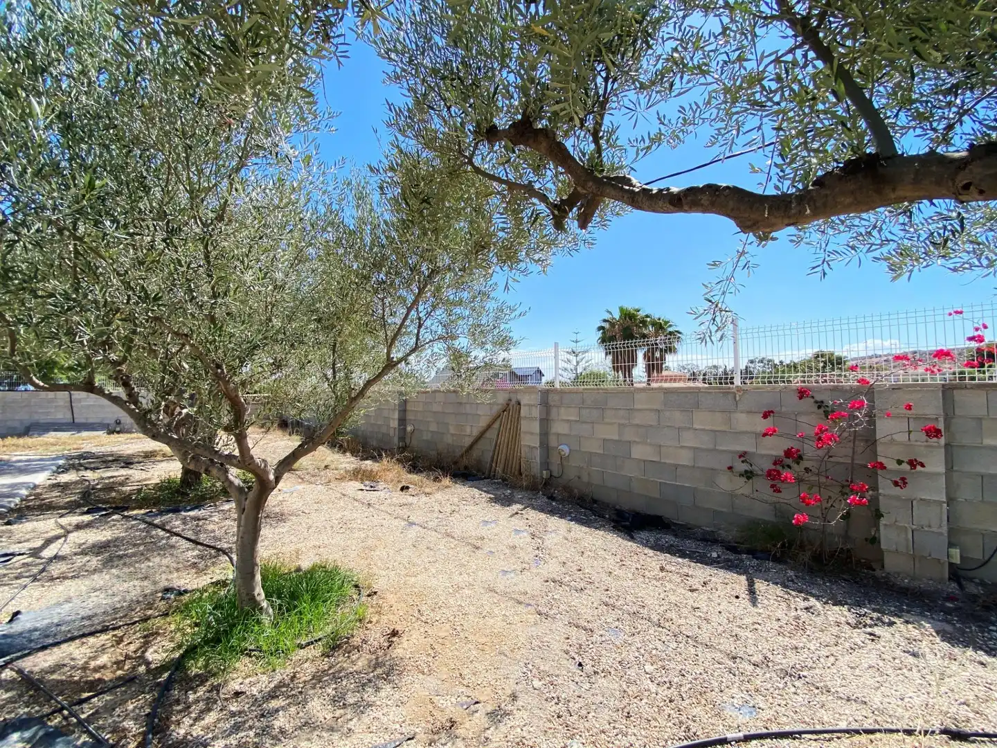 Finca rústica de lloguer en El Campello amb Aire condicionat, Jardí privat i Moblat