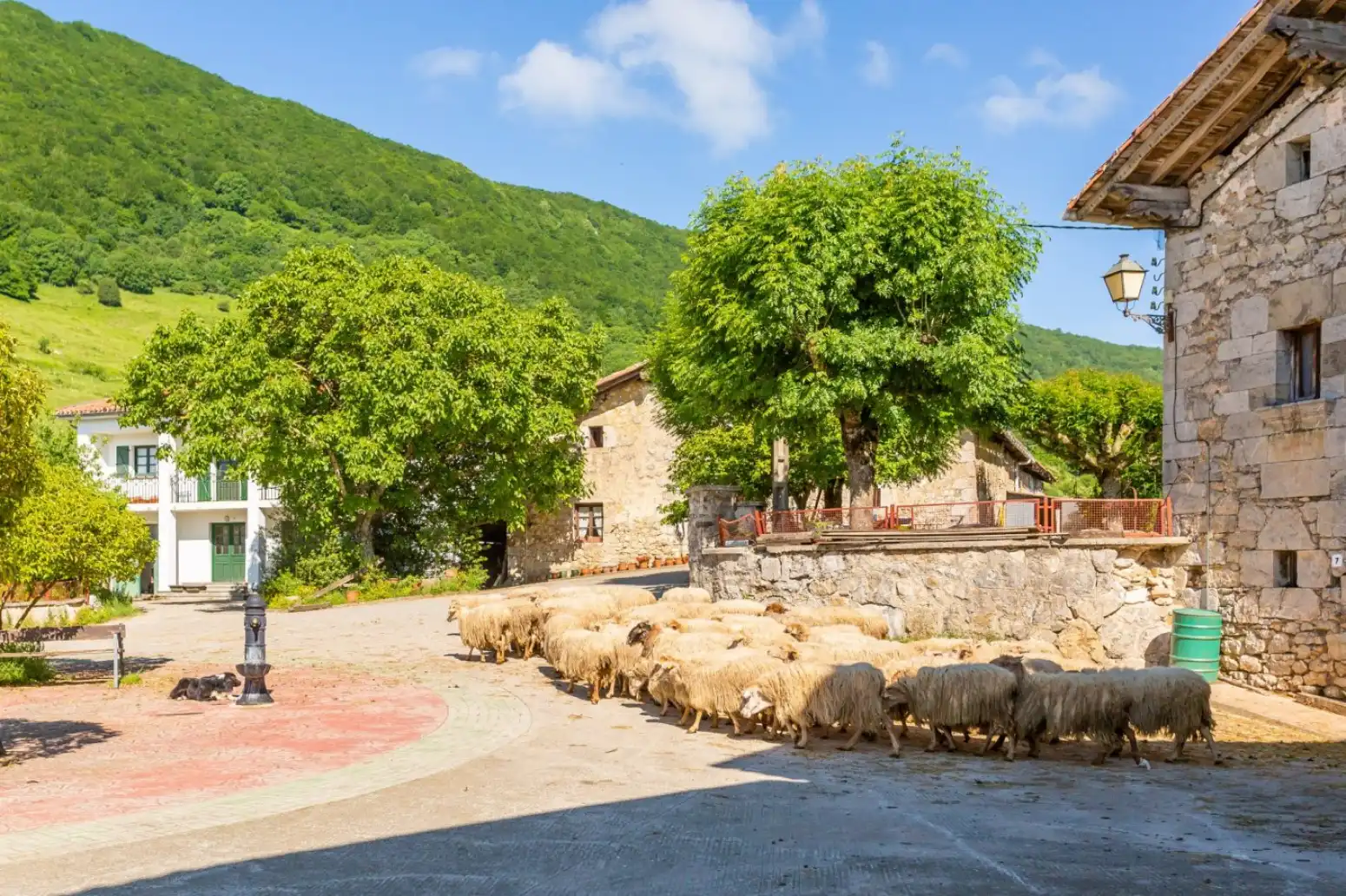 Rural land for sale in Goldaratz - KALE NAGUSIA, imagen 20