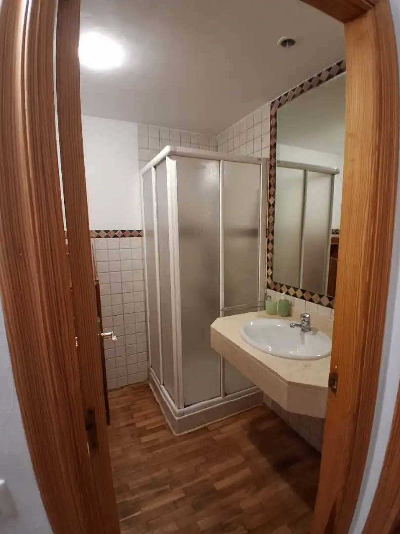 Bathroom of Apartments for rent in  Palma de Mallorca  with Air Conditioner, Parquet flooring and Furnished
