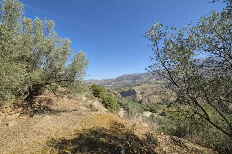 Terreno rustico in vendita a El Pinar, imagen 37