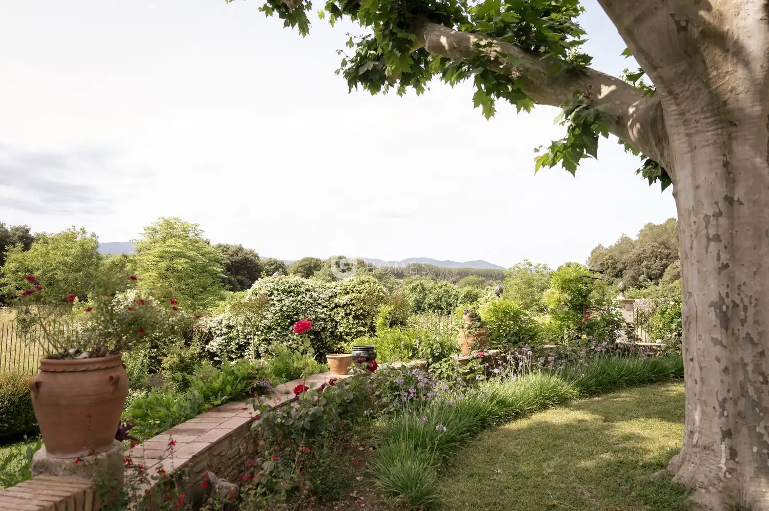 Jardín de Casa o chalet en venta en Cervià de Ter con Piscina