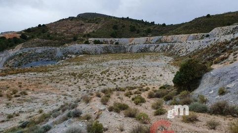 Vélez de BenaudallaTerreno