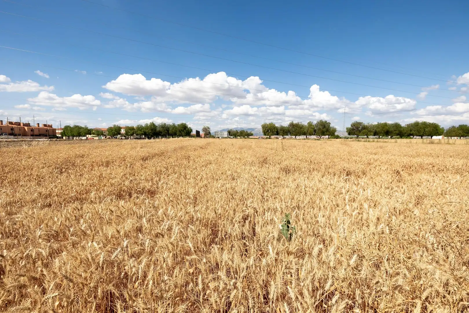 Residential land for sale in Híjar, imagen 21