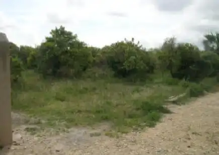 Rural land for sale in PARTIDA LA RACONADA Nº POL. PQL-1
