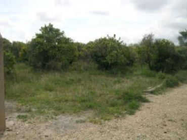 Terrain rustique à vendre à PARTIDA LA RACONADA Nº POL. PQL-1