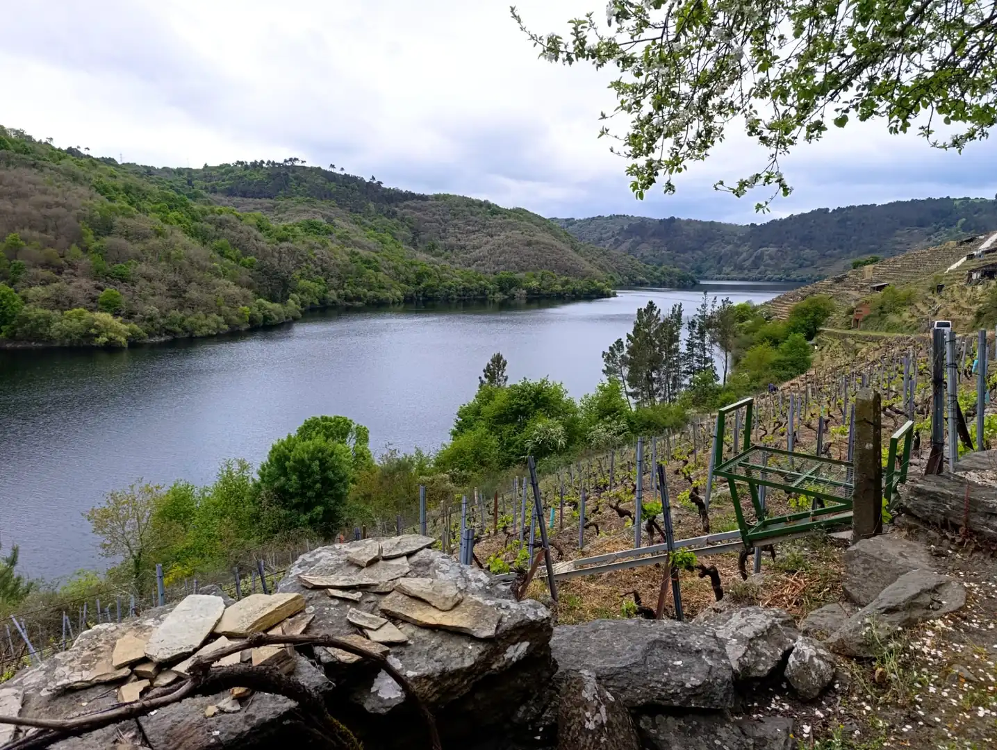 Casa rústica amb jardí en venda a O Saviñao, imagen 16