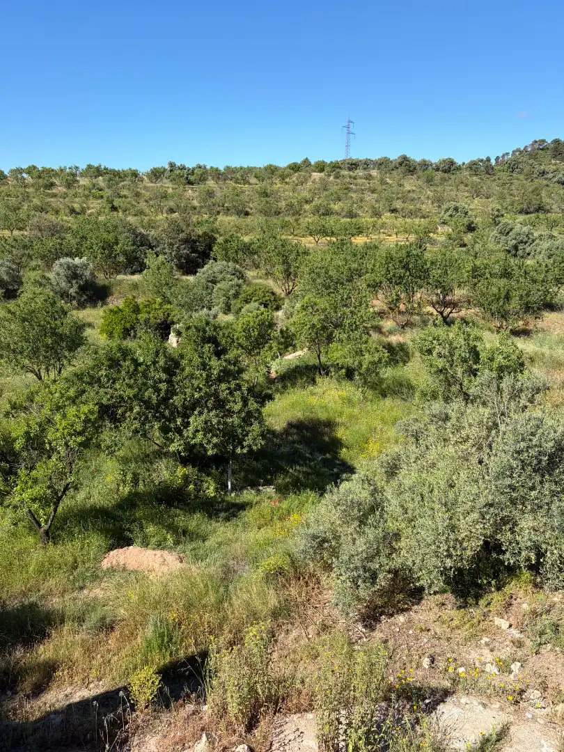 Finca rústica en venda en Ascó amb Aire condicionat, Calefacció i Piscina