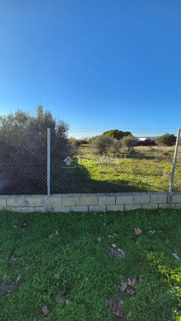 Rural land for sale in Conil, imagen 3