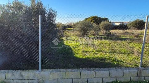 Terrenos en venta en Conil de la frontera, imagen 3