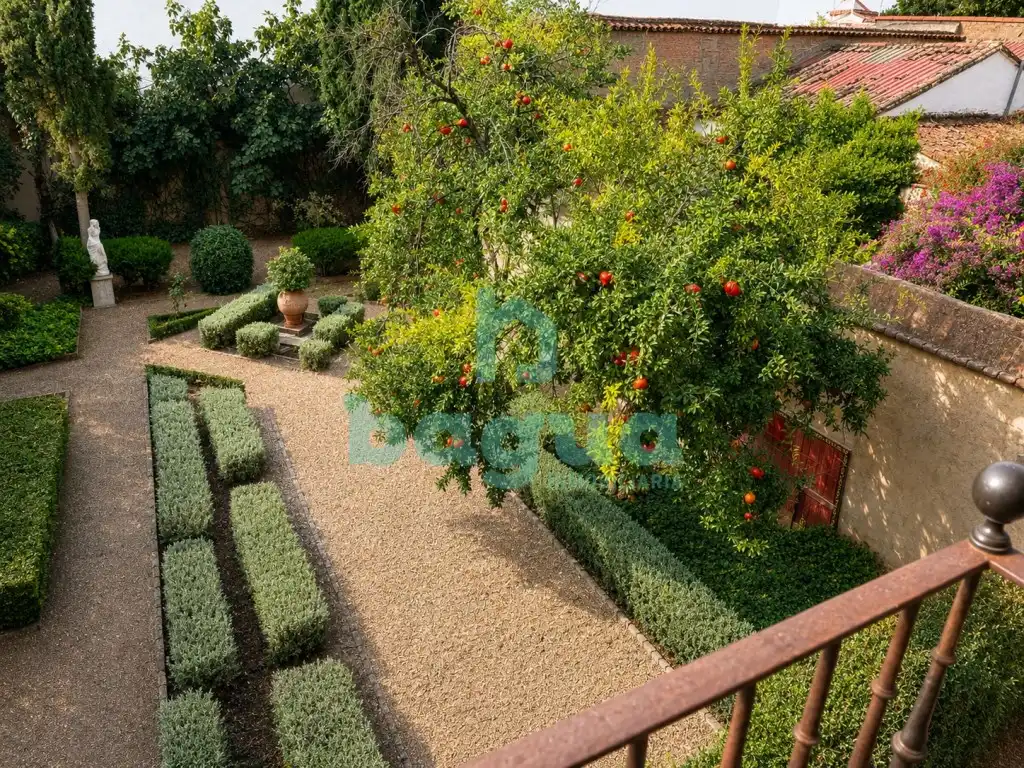 Jardín de Casa o chalet en venta en Almendralejo