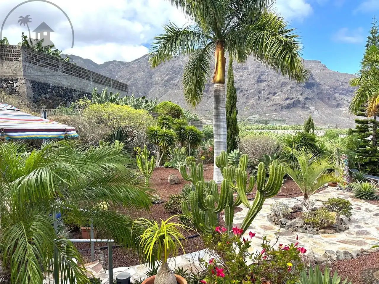 Jardí de Casa o xalet en venda en Buenavista del Norte amb Jardí privat i Terrassa