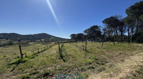 Foto 2 de Terreno en venta en Calle Bosch Rabasa, 1, Centre, Blanes