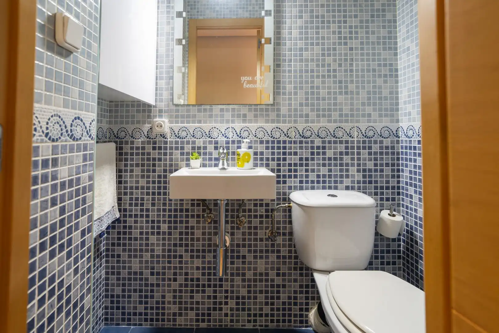 Bathroom of Flat for rent in Plaza Xúquer