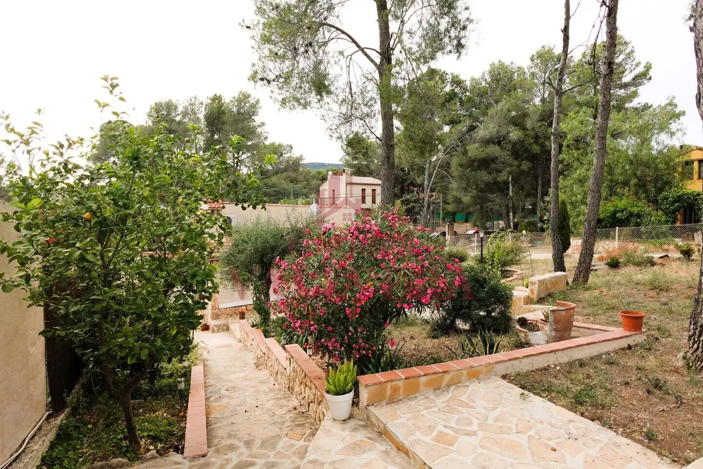 Jardí de Casa o xalet en venda en Cabra del Camp