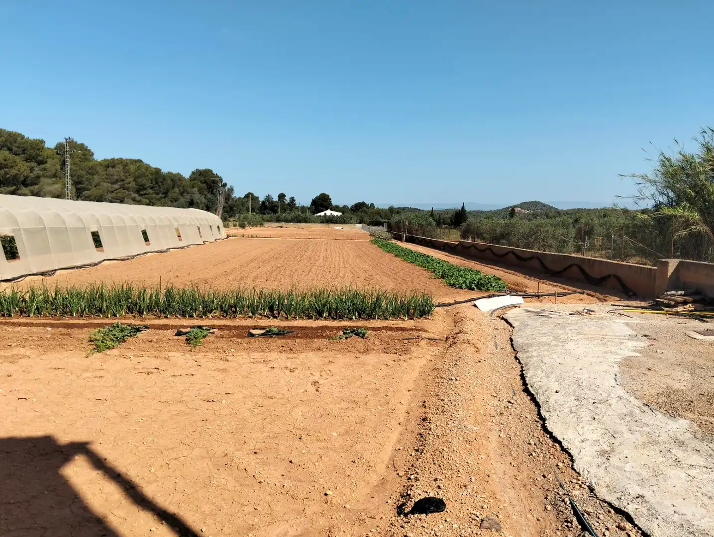 Villa avec piscine à vendre à Vilamarxant, imagen 31