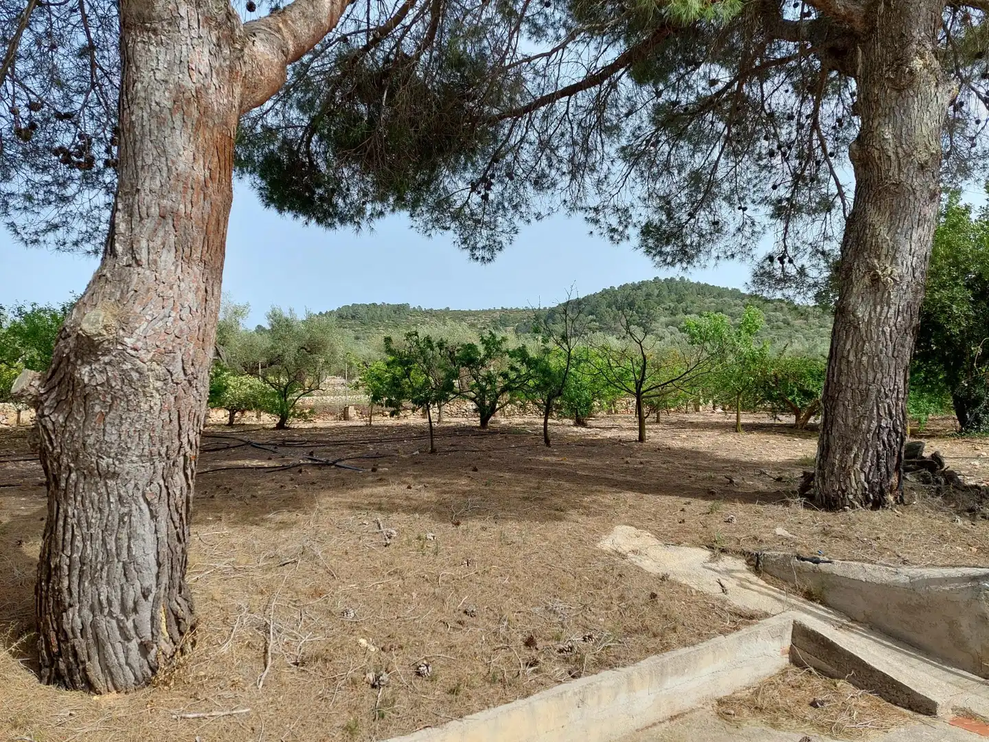 Country homes for sale in Freginals