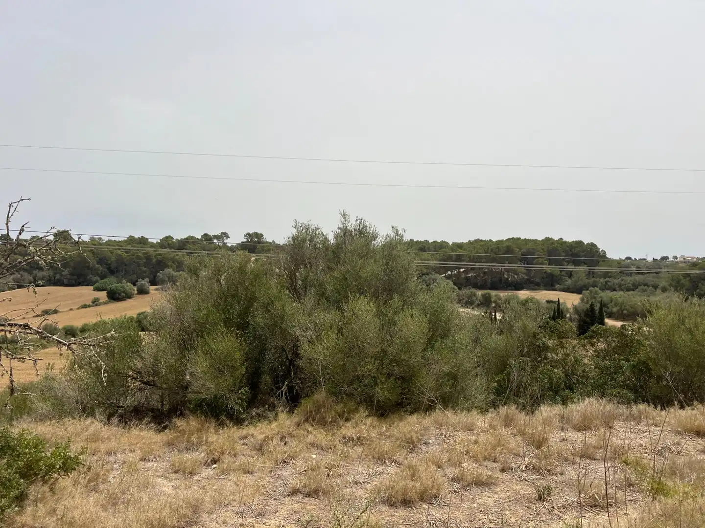 Terreny rústic en venda a Muro, imagen 12