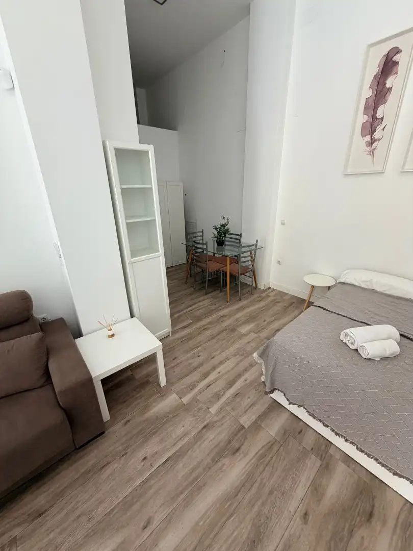 Monolocale in affitto a Bailén - Miraflores, imagen 4