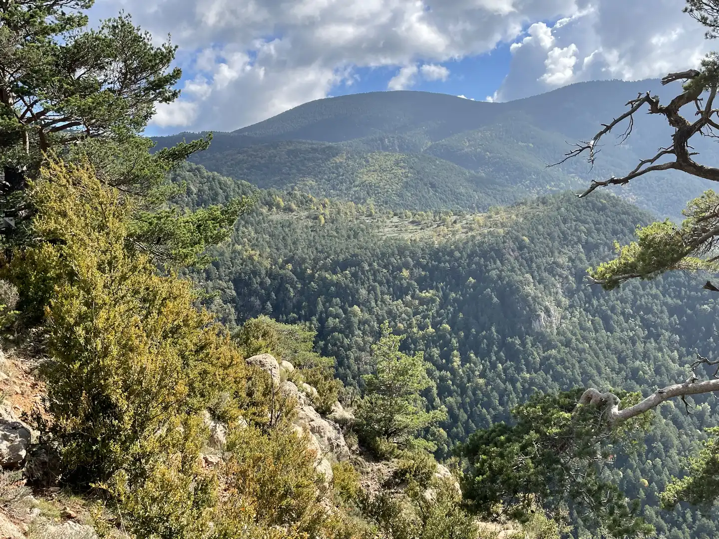 Außenansicht von Grundstücke zum Verkauf in Castellar del Riu