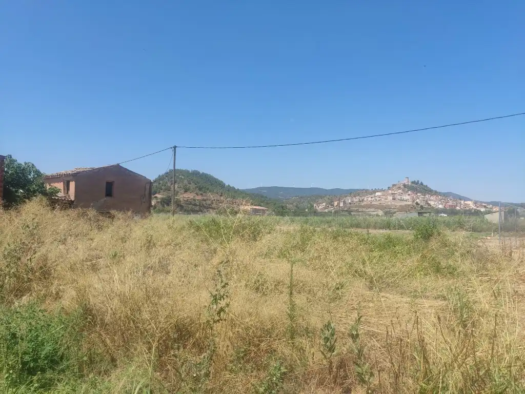 Rural land for sale in Ascó, imagen 12