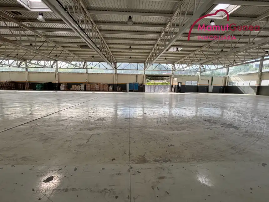 Industrial building to rent in Lapice - Larreaundi - Olaberria - Meaka, imagen 10